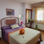 Coqueto
