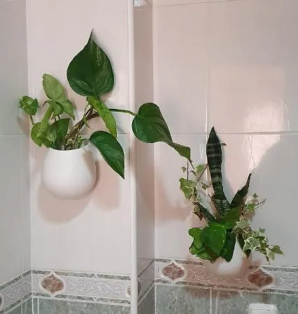 Coqueto Διαμέρισμα Θαμόρα